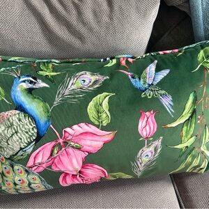 Gorgeous Peacock 🦚 pillow